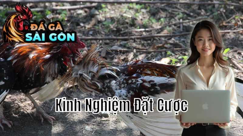 Kinh Nghiệm Đặt Cược Trong Trận Đấu Trực Tiếp Tại Sài Gòn